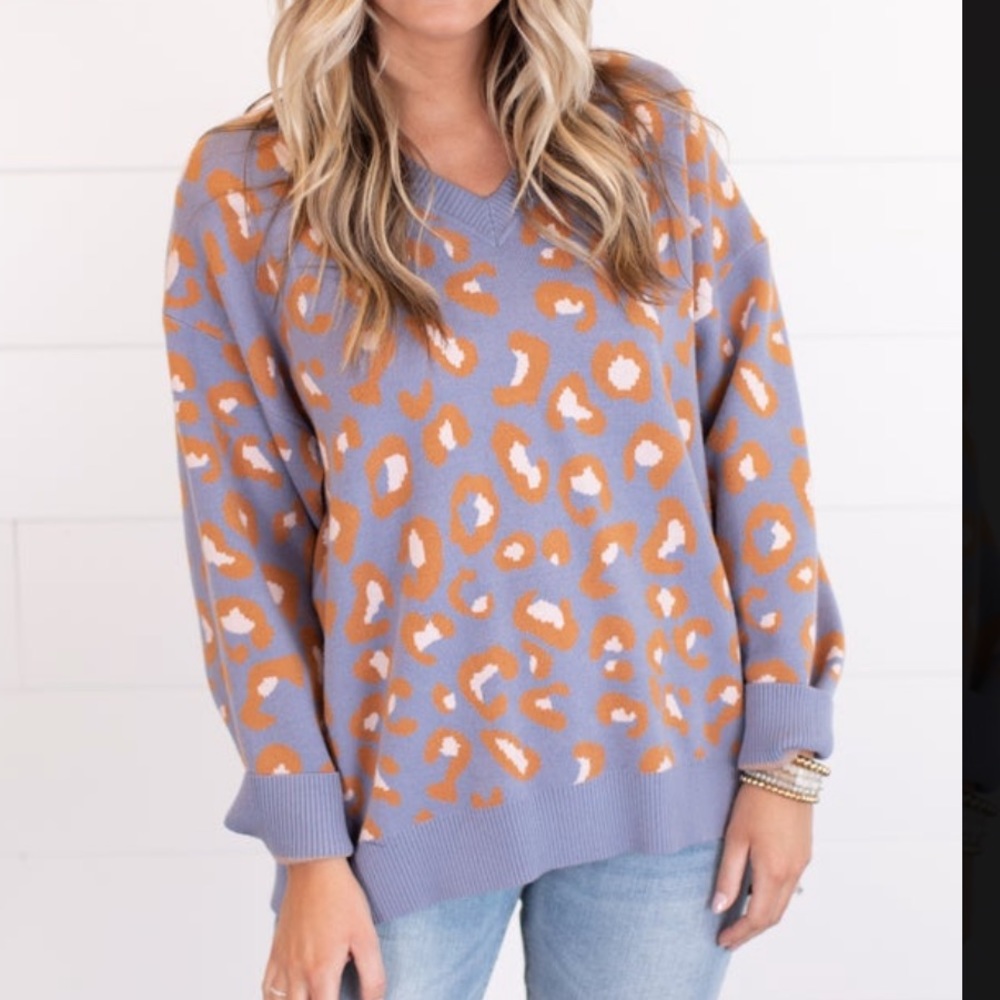 Blue and Tan Leopard Print Sweater